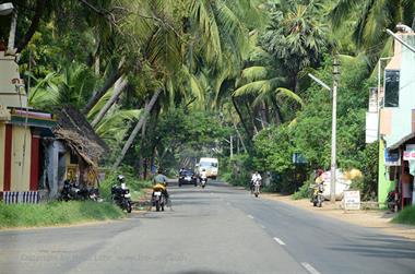 On Route Kanyakumari to Kovalam,_DSC_8593_H600